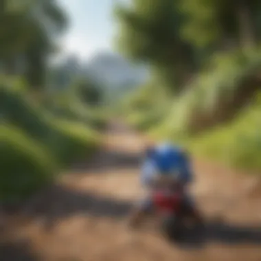 Sonic Zooming through Green Hill Zone