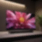 LG OLED display showcasing vibrant colors