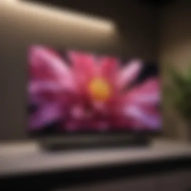 LG OLED display showcasing vibrant colors