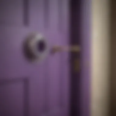 Monica's purple door with the peephole frame