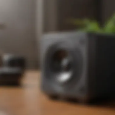 Wireless Speaker System for Desktop